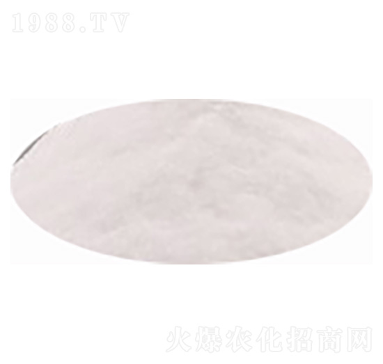 ����⛷�-�۸�˼�_(d��)