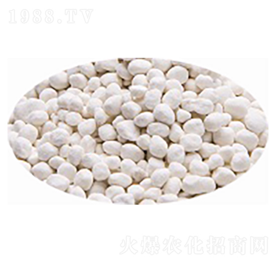 ����⛣����-�۸�˼�_