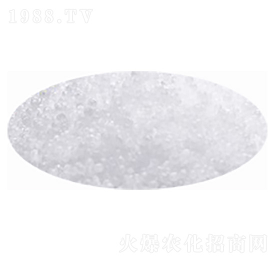 ���أ��w�����w����-�۸�˼�_(d��)