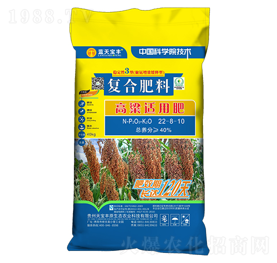 �����m�Ï�(f��)�Ϸ���22-8-10-�쌚�Sԭ