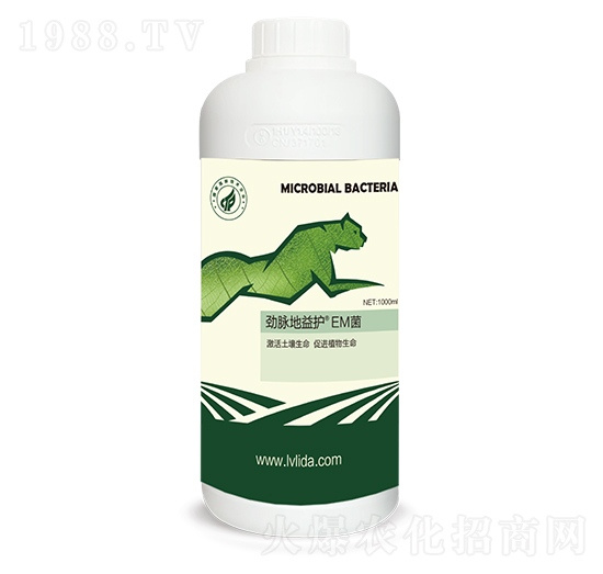 �����o(h��)��EM��-���}