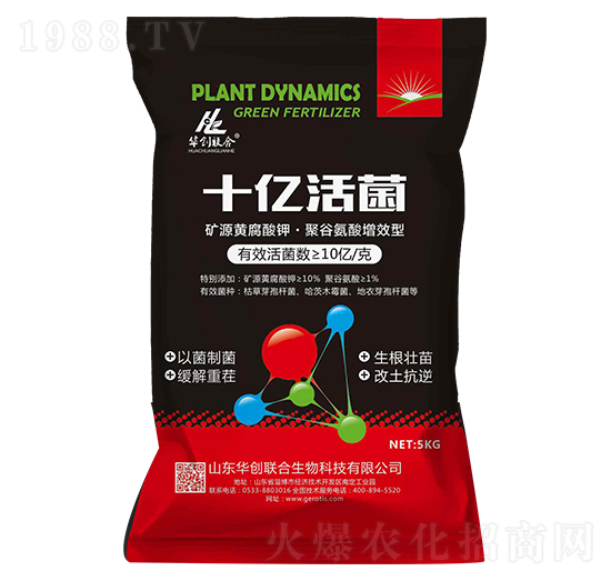 ʮ�|���-�A��(chu��ng)(li��n)��