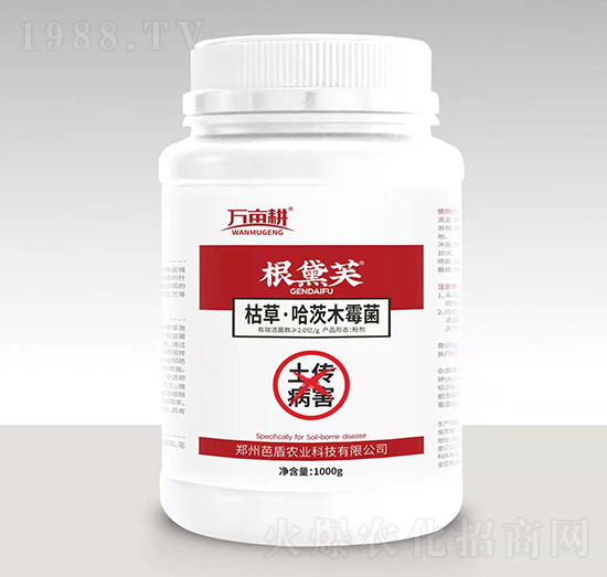 �����(x��)����������-����ܽ-��ķ������