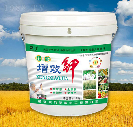 ������Ч�-����