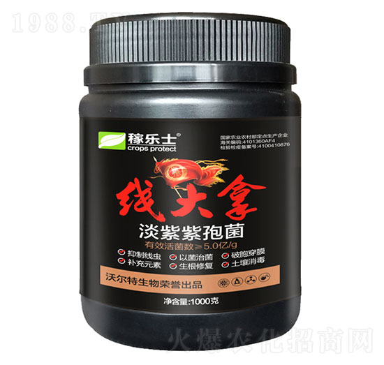 �������߾�-������-�֠���