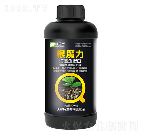 �����~����-��ħ��-�֠���