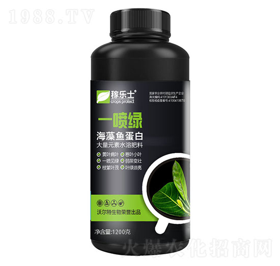 �����~(y��)����-һ���G-�ژ�(l��)ʿ-�֠���