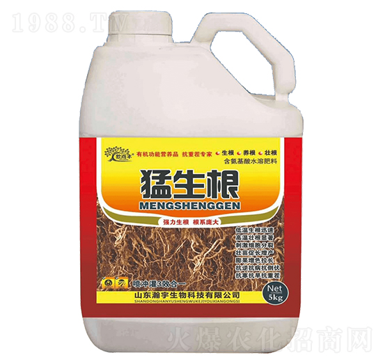 ������-�������