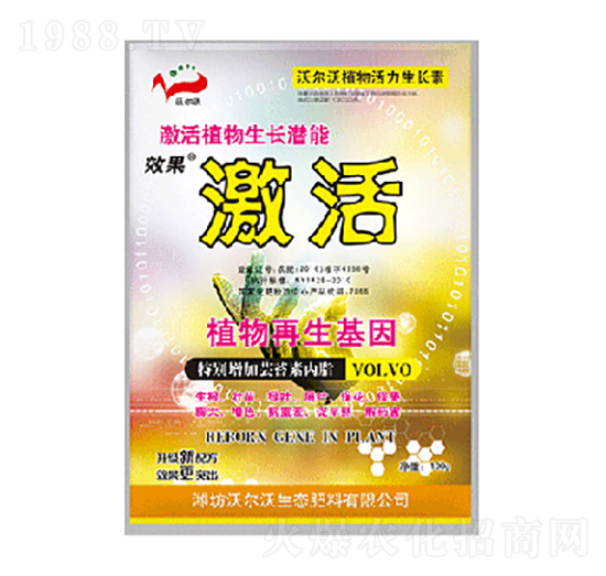 ֲ��������L��-����-������