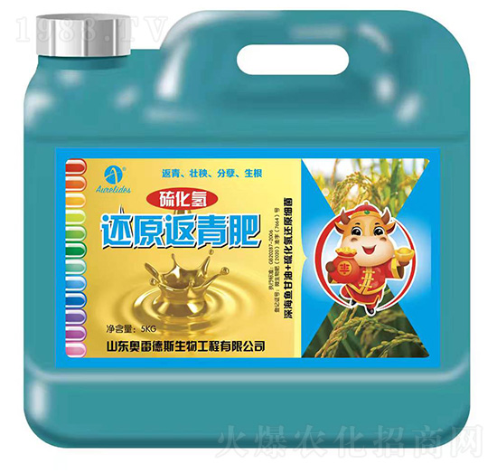 ߀ԭ�����-�򻯚�-�W�׵�˹