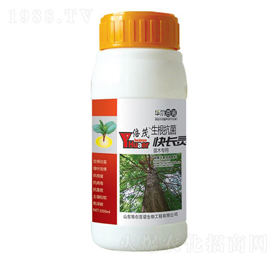 ��ľ���������������L�`-�A�����Z