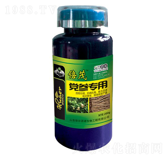 �h�������~���-�A�����Z