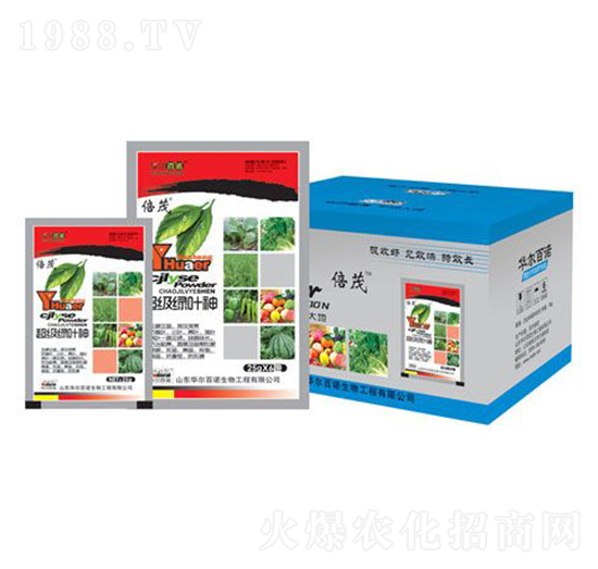 ����(j��)�G�~��-�A�����Z