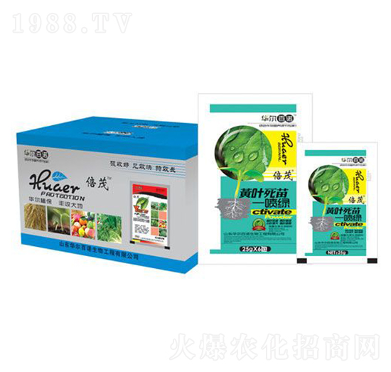 �S�~����һ���G-�A�����Z