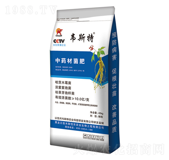 ��ˎ�ľ���-�f˹��-���r(n��ng)�I(y��)