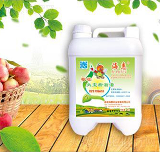 ���Ѵ�������΢�������-����