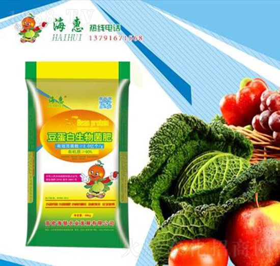 �������������-����