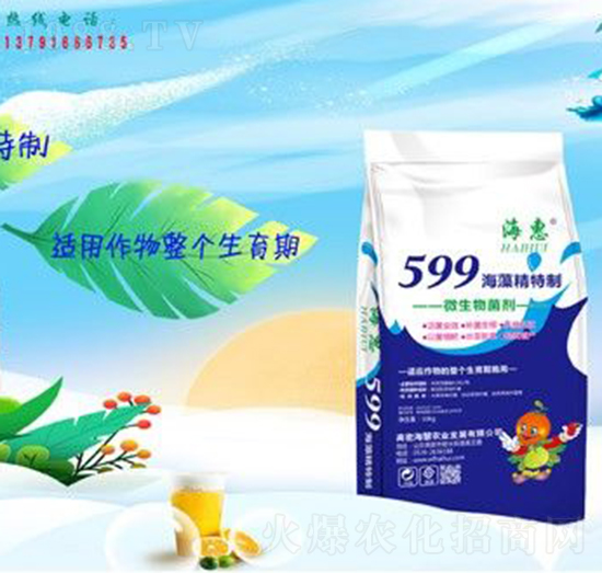 599���徫����-����