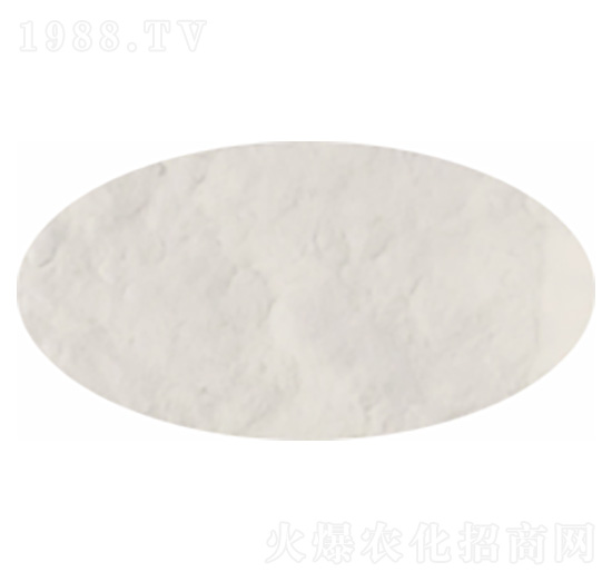 ����ķ�����-�P�����d