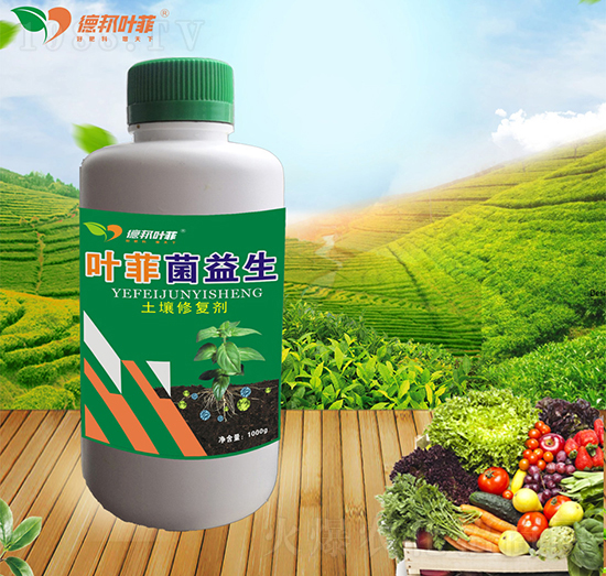 �����ޏ̈́�-�~��������-�°��~��