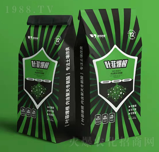 ΢�������-�~�Ʊ���-�°��~��