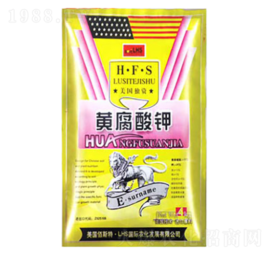 �S�����-�����ʘI(y��)