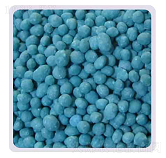 ����⛏�(f��)�Ϸ�19-19-19-���P����