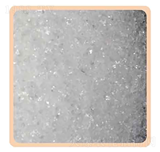 �����@-���P����