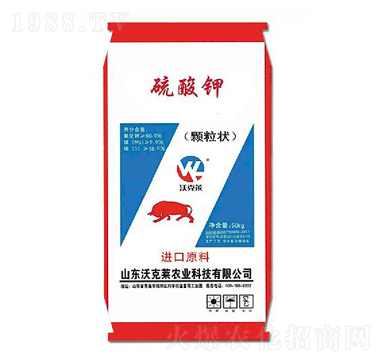 ����⛣��w���-�ֿ��R