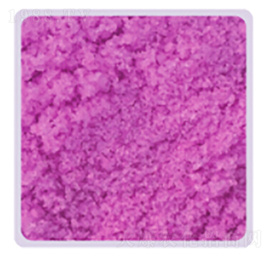 ����⛏�(f��)�Ϸ�19-19-19+TE-���P����