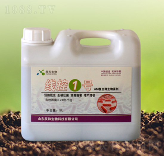 ����1̖-��������