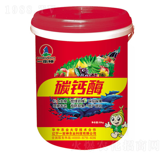 ̼�}øҺ�w-һ����