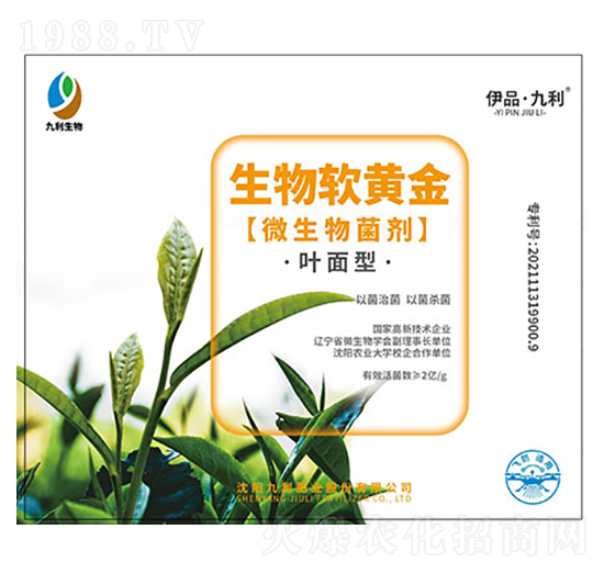 ΢�������-�~����-����