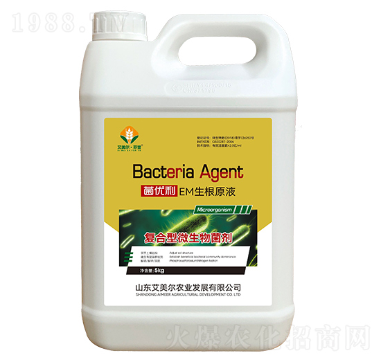 �ͺ���΢�������-������