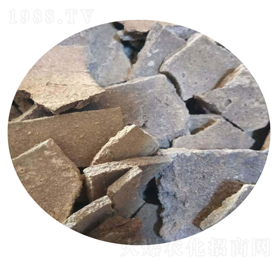 ������-ʥ������