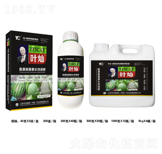 西瓜甜瓜哈密瓜專用氨基酸菌素長效液肥-葉燦-德化