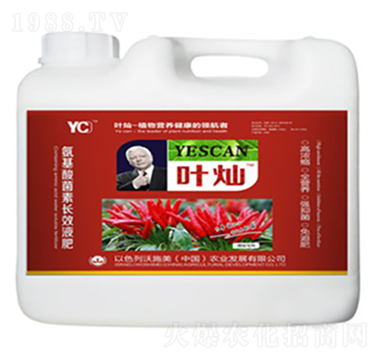 辣椒氨基酸菌素長效液肥-葉燦-德化