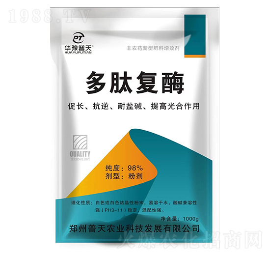 ���ď�ø-�����r�I(y��)