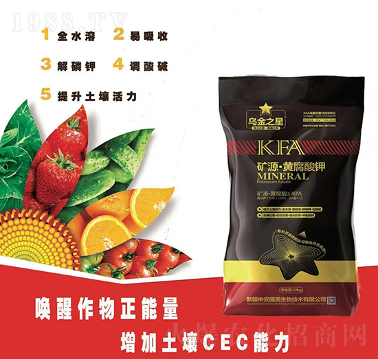 �VԴ���S�����-�а�����