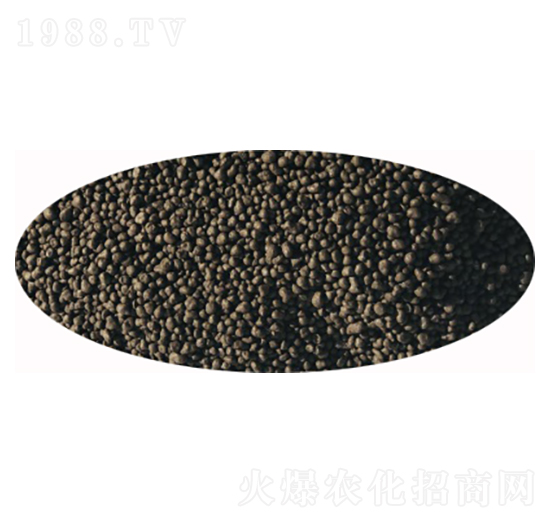 ΢�������-�l(f��)ؔ(c��i)��