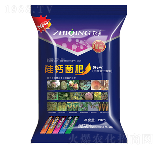 ��΢��Ԫ���͹��}����-������