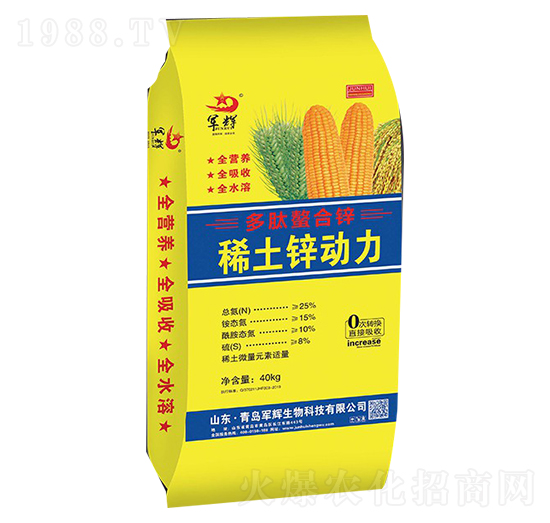 ���������\-ϡ���\����-܊�x����