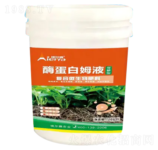 �ٸ��͏ͺ�΢�������-��ø����ĸҺ-������