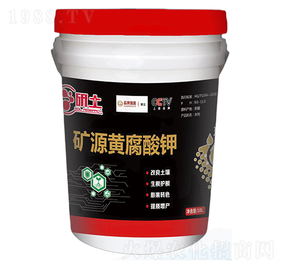 �VԴ�S�����-��������