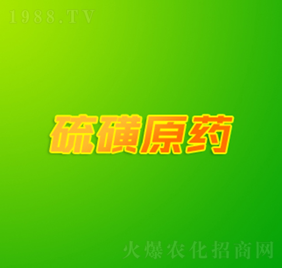 ���ԭˎ-�p������