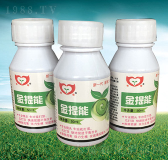 ������-�\���r(n��ng)�I(y��)