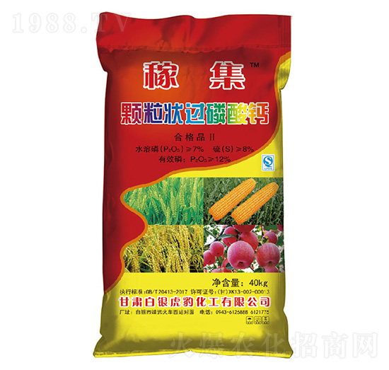 �w�����^�����}-�ڼ�-���y����