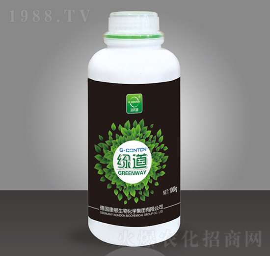 G-CONTON�G��-��ұ�-�A����