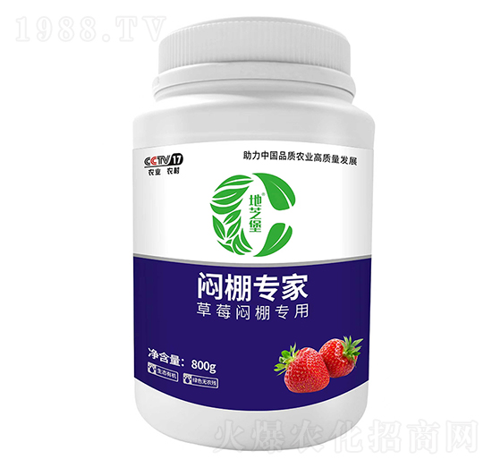 ��ݮ�����-�����-������