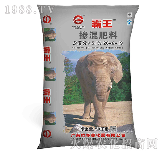 �������-����BB�ʣ�26-6-19��-����������